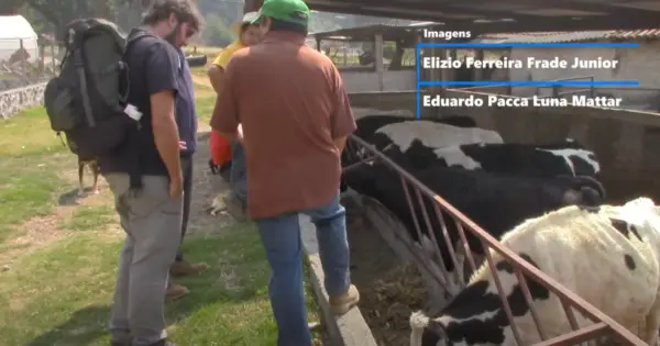 Curta produzido pela Ufac sobre agropecuária integrada é selecionado para mostra nacional