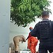 A Polícia Militar e o Corpo de Bombeiros resgataram os corpos nesta quarta-feira (25). — Foto: Polícia Civil — Foto: Polícia Civil