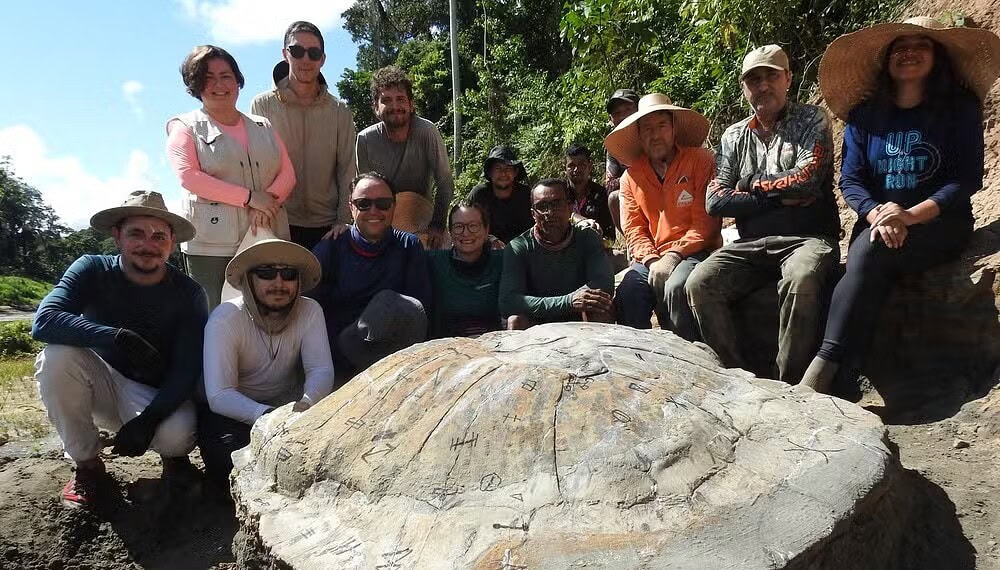 Foto: Divulgação/Laboratório de Paleontologia da Ufac