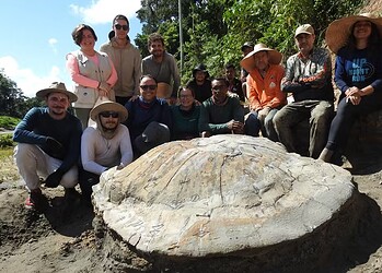 Foto: Divulgação/Laboratório de Paleontologia da Ufac