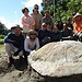 Foto: Divulgação/Laboratório de Paleontologia da Ufac