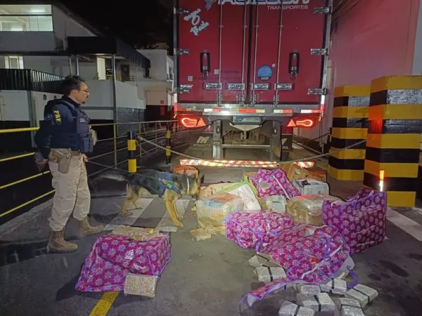 Carreta com carne que saiu de Rio Branco é flagrada com 400 kg de maconha em MG