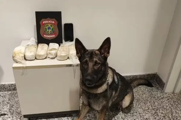 Cadela farejadora ajuda PF a prender acreano com mais de 3 kg de cocaína no Aeroporto de Recife