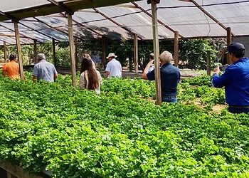 Rio Branco busca soluções para o campo em visita técnica a referência de produção rural em Rondônia