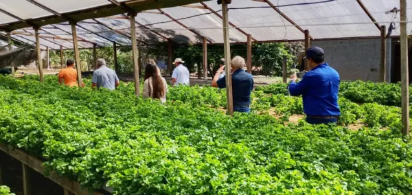 Rio Branco busca soluções para o campo em visita técnica a referência de produção rural em Rondônia