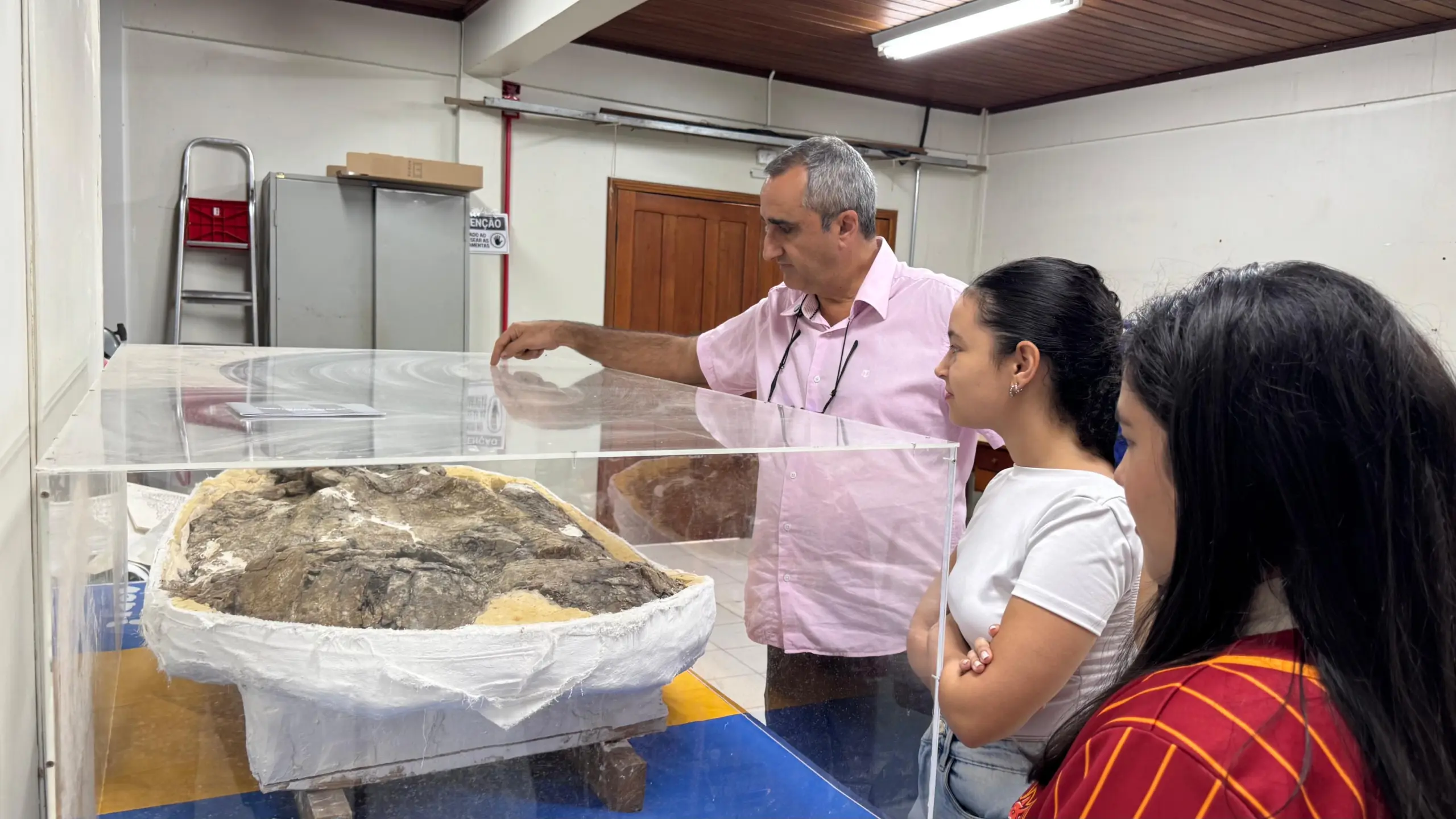 Tartaruga e jacaré gigantes: Museu da Ufac guarda fósseis raros da pré-história amazônica