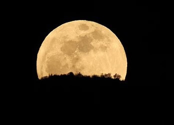 Lua cheia vista em Tirana, na Albânia, em 12 de abril de 2025. — Foto: Florion Goga/ REUTERS