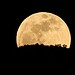 Lua cheia vista em Tirana, na Albânia, em 12 de abril de 2025. — Foto: Florion Goga/ REUTERS