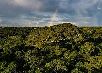 Acre apresenta redução de 16% nos alertas de desmatamento no primeiro semestre de 2025. Foto: Alexandre Cruz-Noronha/Sema