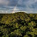 Acre apresenta redução de 16% nos alertas de desmatamento no primeiro semestre de 2025. Foto: Alexandre Cruz-Noronha/Sema