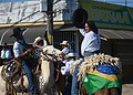 FOTOS: Público começa a lotar a Gameleira para a saída da Cavalgada da Expoacre neste sábado