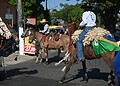 FOTOS: Público começa a lotar a Gameleira para a saída da Cavalgada da Expoacre neste sábado