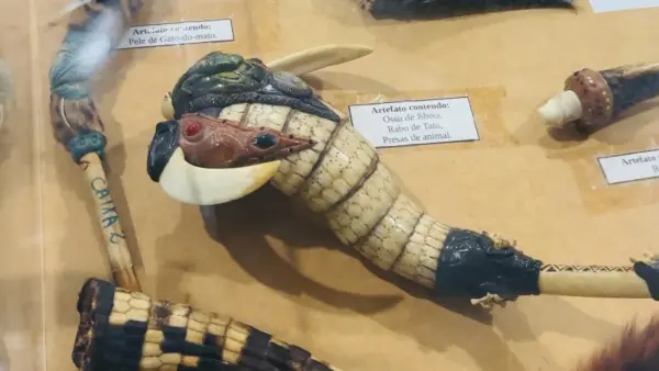 Crânio de onça e rabo de tatu: Ibama expõe apreensões de artefatos feitos de animais silvestres na Expoacre