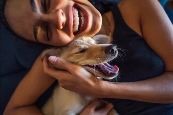 Como o cachorro escolhe sua pessoa preferida, segundo uma veterinária