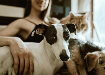 Chewy/Unsplash