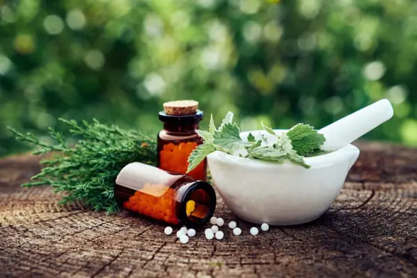 Acre lança Programa de Farmácias Vivas e amplia uso de plantas medicinais na rede pública