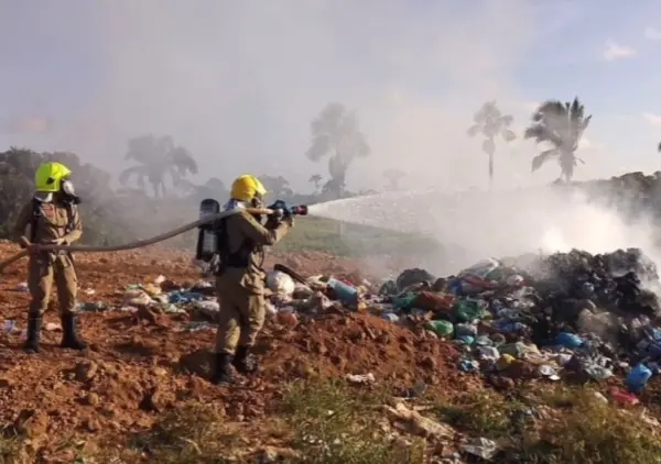 Bombeiros atendem 30 ocorrências de incêndios e resgatam 116 animais em 2025 no interior do Acre