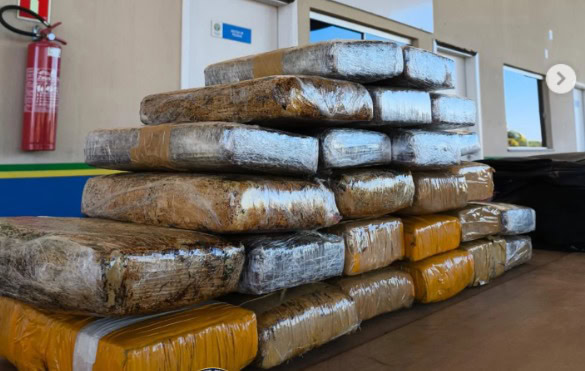 GEFRON apreende 26 kg de Skunk na fronteira e causa prejuízo de R$ 261 mil ao tráfico