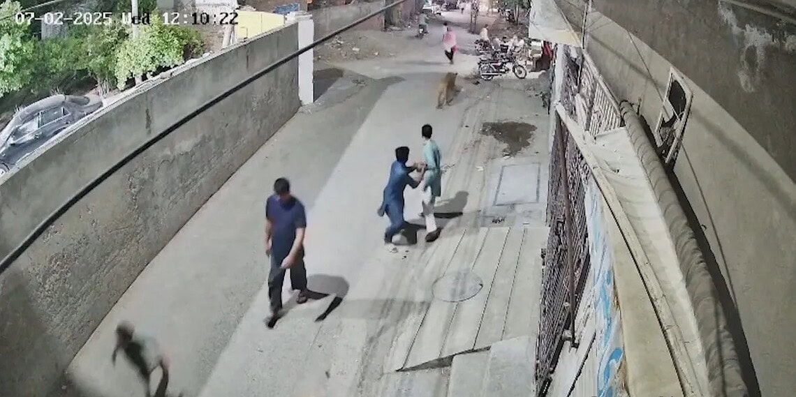 Leão pula muro e persegue pessoas no Paquistão  • Reuters