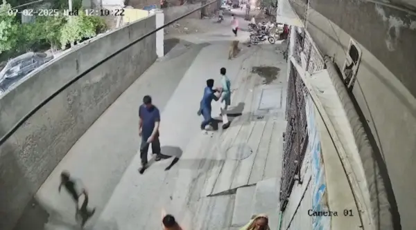 VÍDEO: Leão pula muro e persegue pessoas