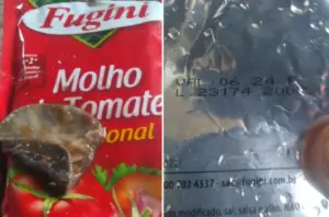 Pedreiro será indenizado após encontrar larvas e corpo estranho em molho de tomate que serviu à filha 2 Pedreiro será indenizado após encontrar larvas e corpo estranho em molho de tomate que serviu à filha