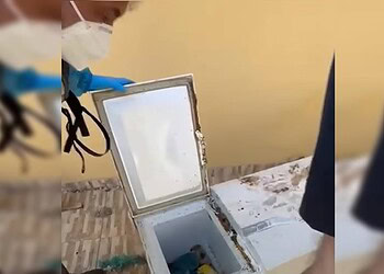 Foto: Reprodução / PCPR