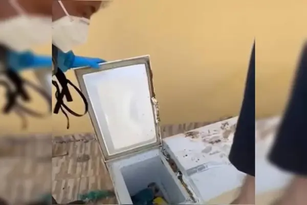 Corpo de mulher é achado em freezer e filho é o principal suspeito
