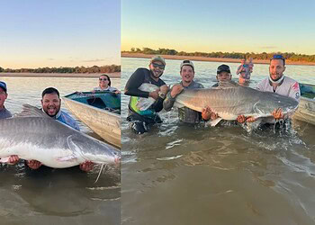 Pescador fisga uma piraíba de 2 metros no Rio Araguaia  • Arquivo Pessoal/Caiuã Carvalho