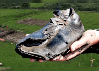 Divulgação/The Vindolanda Trust