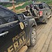 Foto: Arquivo/PF