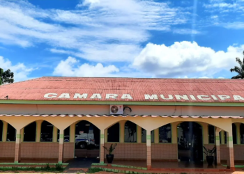 Foto: Câmara Municipal de Plácido