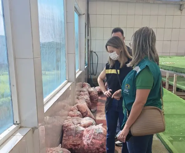 MPAC e Idaf apreendem mais de 4 toneladas carne imprópria para consumo em Rio Branco