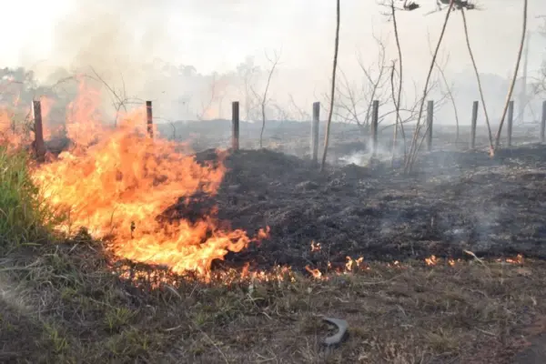 Acre registra mais de 140 focos de queimadas em 48 horas e Rio Branco amanhece com ar mais poluído do país