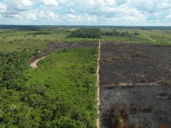 Operação vistoria propriedades rurais com pontos de queimadas no interior do estado