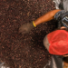 Festival do Açaí 2025 de Feijó impulsiona a economia local