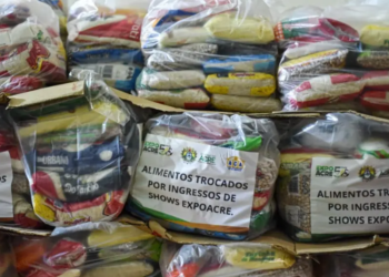 Segunda etapa da entrega distribuiu 3 mil sacolões. Foto: Raylanderson Frota/Secom