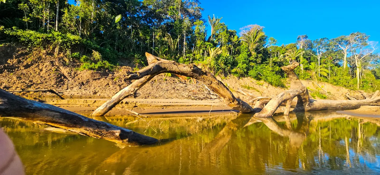 Acre em estado de emergência: Sazonalidade do vírus sincicial respiratório somada à seca extrema e ao calor ameaça saúde de crianças de até 6 anos 6 Acre em estado de emergência: Sazonalidade do vírus sincicial respiratório somada à seca extrema e ao calor ameaça saúde de crianças de até 6 anos