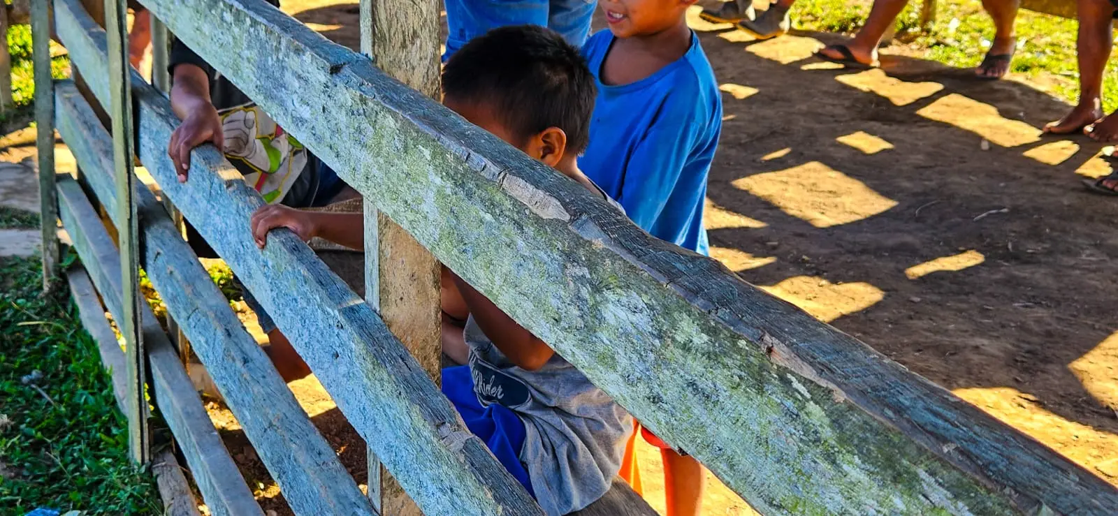 Acre em estado de emergência: Sazonalidade do vírus sincicial respiratório somada à seca extrema e ao calor ameaça saúde de crianças de até 6 anos 7 Acre em estado de emergência: Sazonalidade do vírus sincicial respiratório somada à seca extrema e ao calor ameaça saúde de crianças de até 6 anos