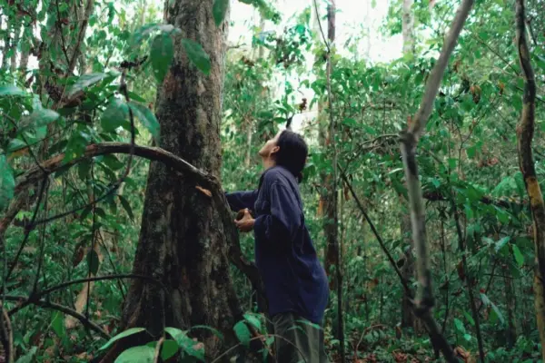 Acreanos podem inscrever projetos de turismo sustentável em seleção do Ministério do Turismo