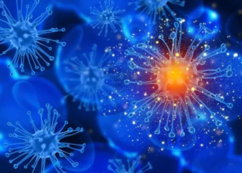 O sistema imunológico tem a função de proteger o corpo contra infecções e doenças - (crédito: ReproduÃ§Ã£o/Freepik)
