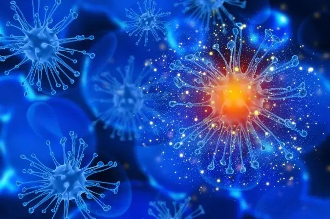 O sistema imunológico tem a função de proteger o corpo contra infecções e doenças - (crédito: ReproduÃ§Ã£o/Freepik)