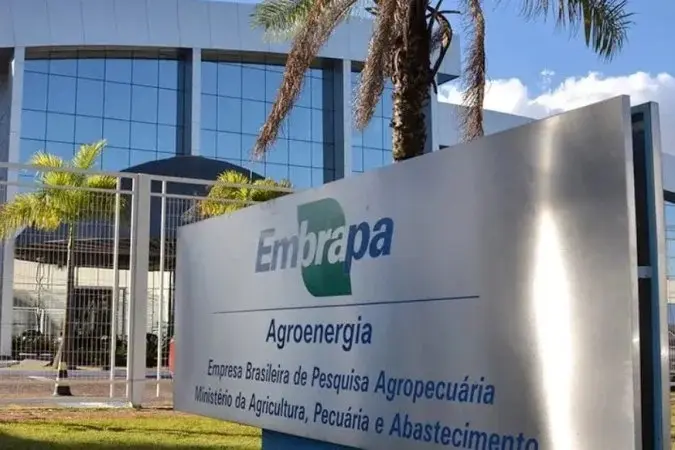 Com a homologação, a Embrapa pode iniciar as convocações dos candidatos aprovados, seguindo a ordem de classificação e o prazo de validade do concurso - (crédito: Divulgação)