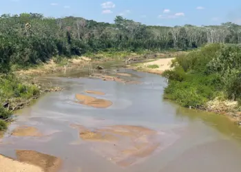 Foto: Defesa Civil de Rio Branco