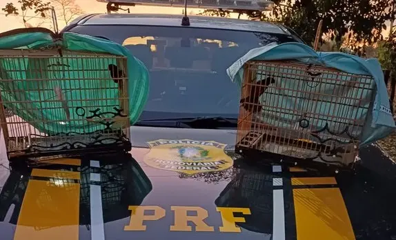 Foto: Arquivo/PRF