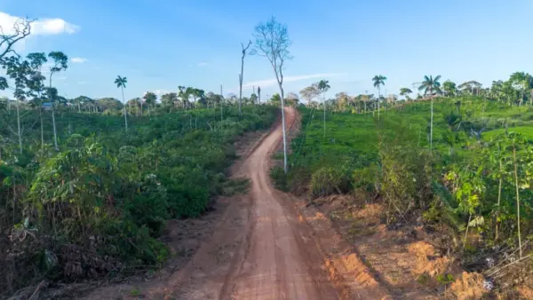 Ramal que dá acesso à cidade de amazonense de Envira, a partir de Feijó, já está trafegável