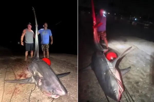 Após seis horas de 'batalha' em alto-mar, pescadores vencem tubarão de 5 metros