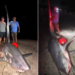 Após seis horas de 'batalha' em alto-mar, pescadores vencem tubarão de 5 metros