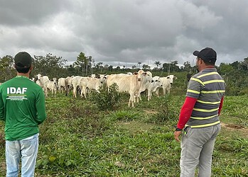 Foto: Ascom/Idaf