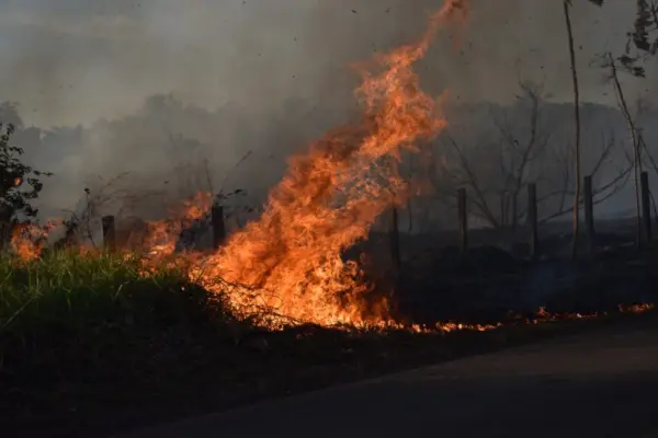 Acre registra 70 focos de queimadas em 24 horas e qualidade do ar é considerada 'moderada'