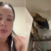 Mulher gastava mais de R$ 13 mil em aluguel de apartamento cujo teto desabou — Foto: Reprodução/TikTok
